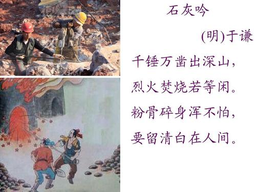 九游开心动物园手游下载