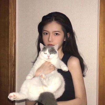 无双裁决官方下载